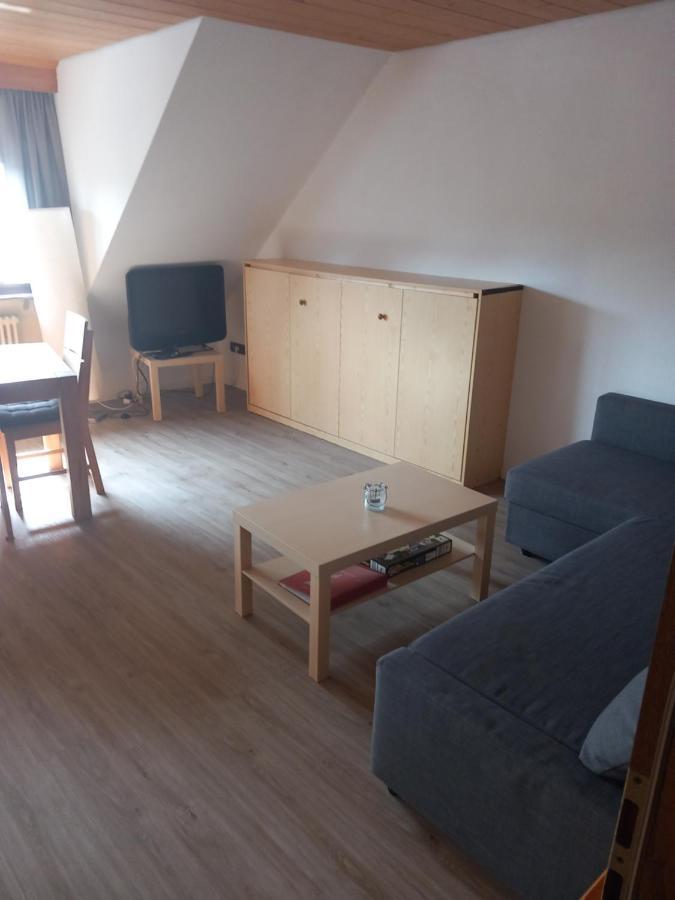Апартаменты Haus Heidelberg Фельдберг Экстерьер фото