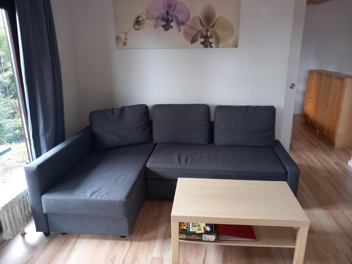 Апартаменты Haus Heidelberg Фельдберг Экстерьер фото
