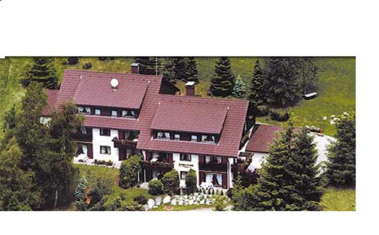 Апартаменты Haus Heidelberg Фельдберг Экстерьер фото