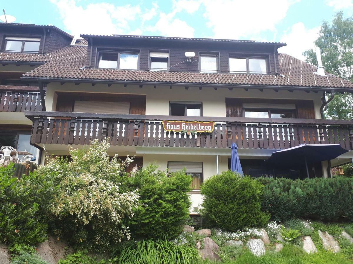 Апартаменты Haus Heidelberg Фельдберг Экстерьер фото